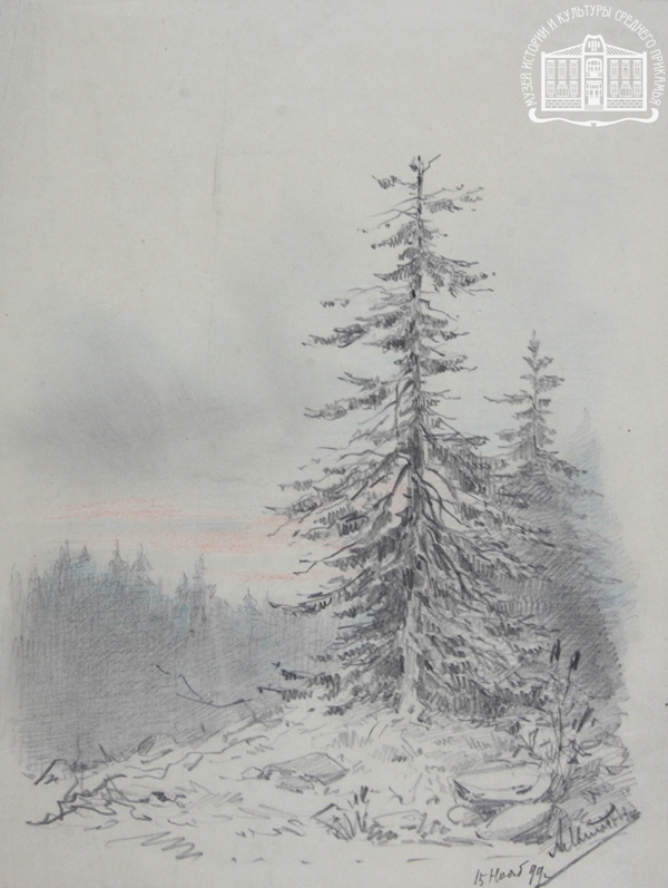 А.П. Ильинский. Ель. 15 ноября 1899 г. Бумага, карандаш. Коллекция МИКСП.